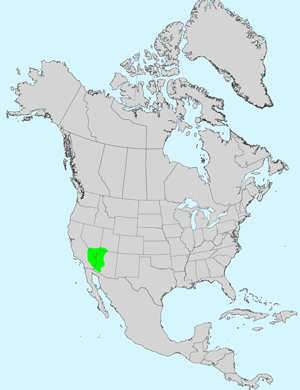 North America species range map for Atrichoseris platyphylla: Click image for full size map